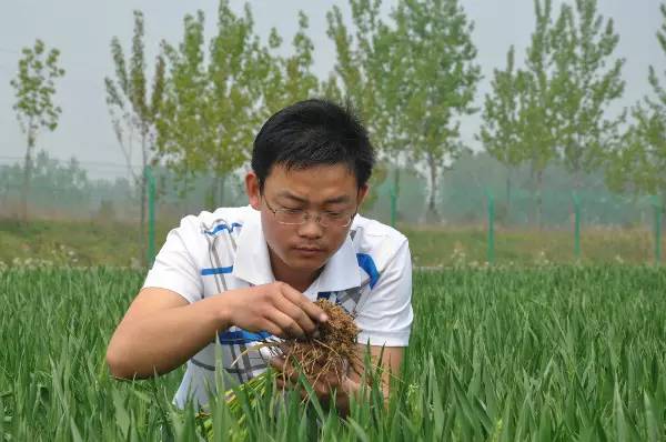 漯河青年 農(nóng)業(yè)信息咨詢領(lǐng)域的閃亮新星